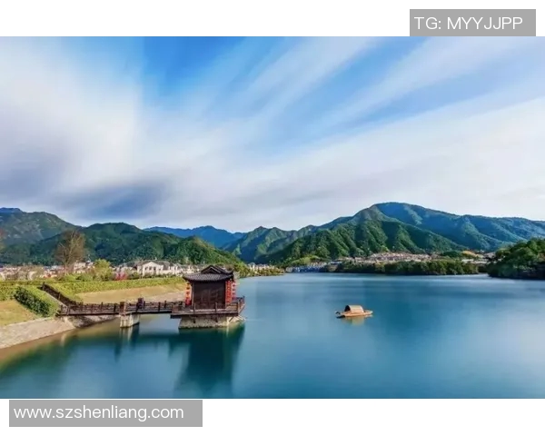 广州羽毛球队的运营策略与市场推广深度分析