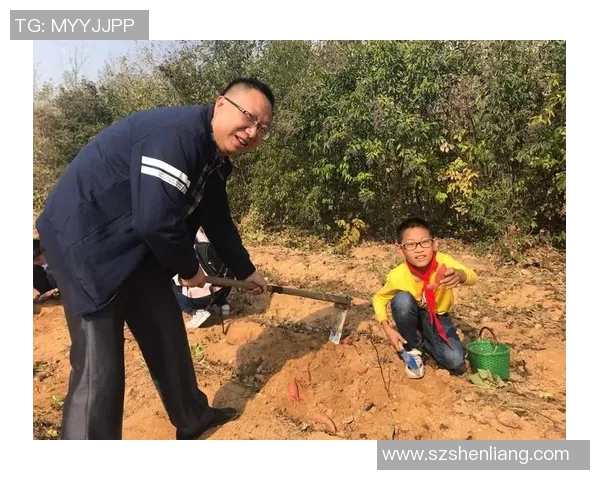 武汉攀岩队的奋斗历程与梦想追逐的真实记录与感悟