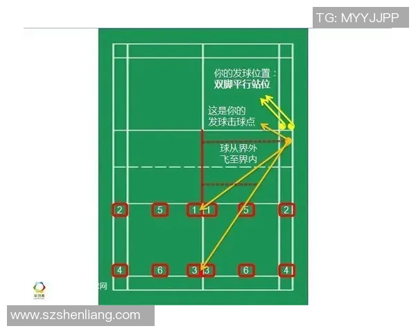 武汉羽毛球队速度提升之路探秘与训练秘籍分享