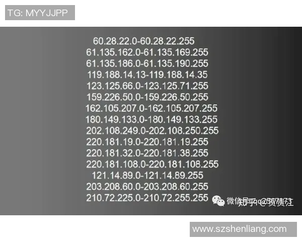 深圳攀岩队的进攻策略与训练方法深度解析