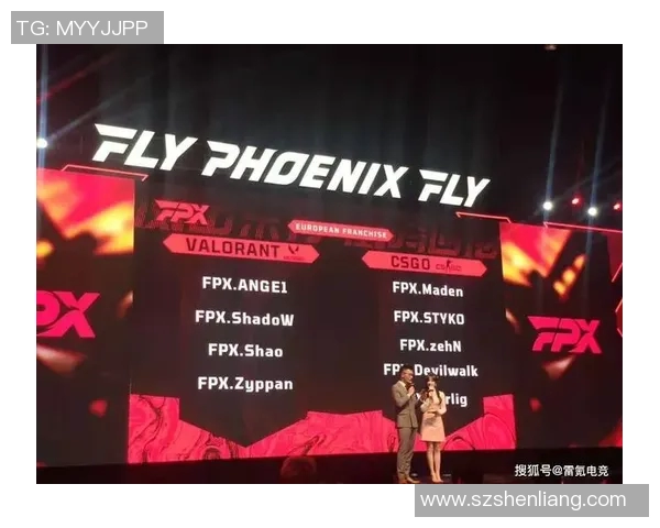FPX战队在CSGO个人能力排行榜中荣登第六名展现强大实力