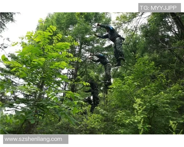 攀岩之路的探索与坚持张伟分享他的攀岩生涯与心路历程