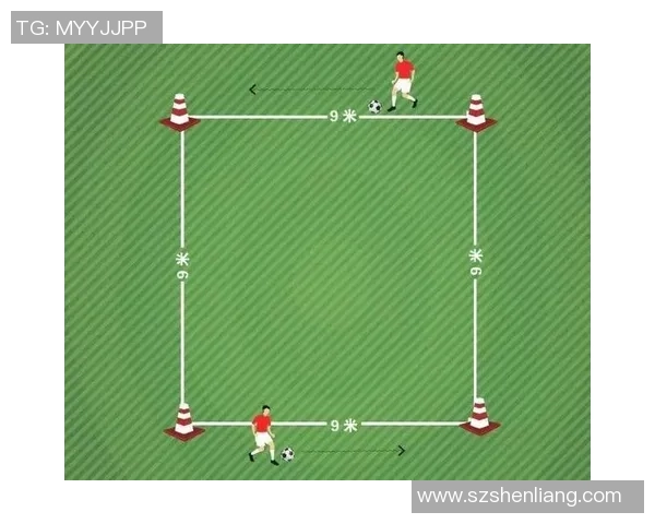 杭州排球队耐力提升之路与训练策略的深度分析