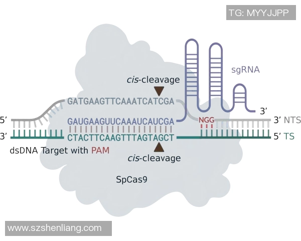 生物科技引领未来探索：从基因编辑到智能药物的创新发展路径