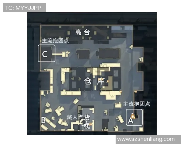 和平精英战术解析：FPX如何构建高效区域防守体系