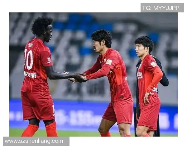 武汉排球队速度之争引发热议球迷与专家各抒己见探讨战术与技术