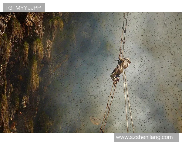 深圳攀岩队包夹革新之路探索与实践的全景报告