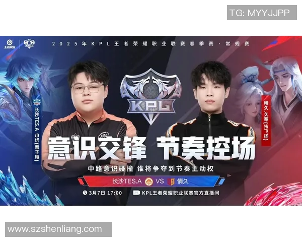 王者荣耀专题深度解析TES战队的节奏与战略布局