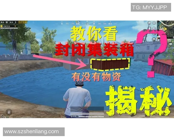 专访和平精英制作人陈磊揭秘游戏成功背后的故事与策略