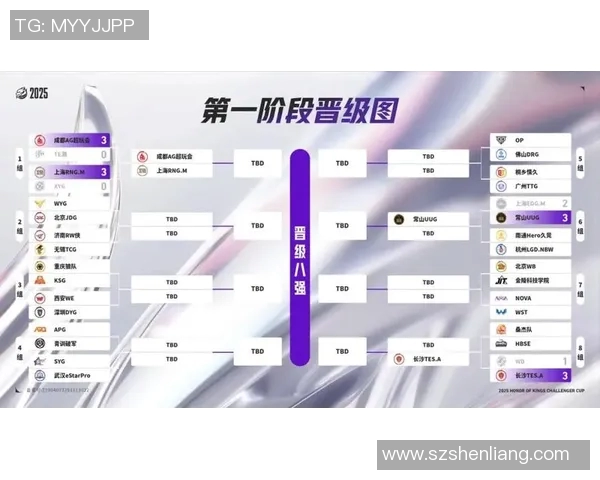 WE在挑战者杯中的节奏表现分析与战术探讨