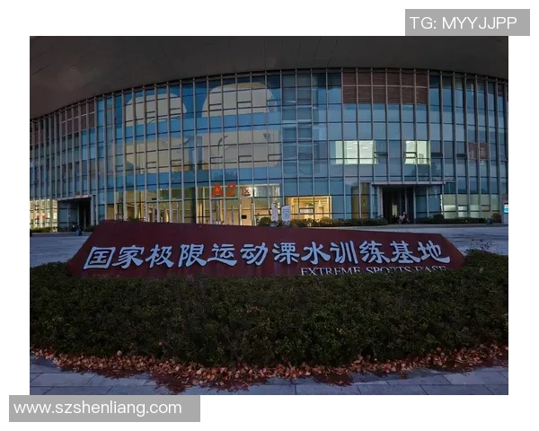 南京极限运动队快攻策略分析与比赛表现评估