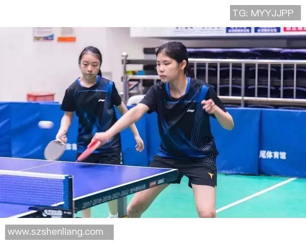 乒乓球团队协作实力榜单揭晓深圳乒乓球队荣获第九名佳绩
