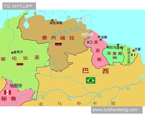 全球足球明星简介及其辉煌成就的英文翻译解析